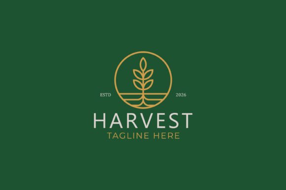 Harvest Logo Nature Plant Wheat Symbol Graphics
